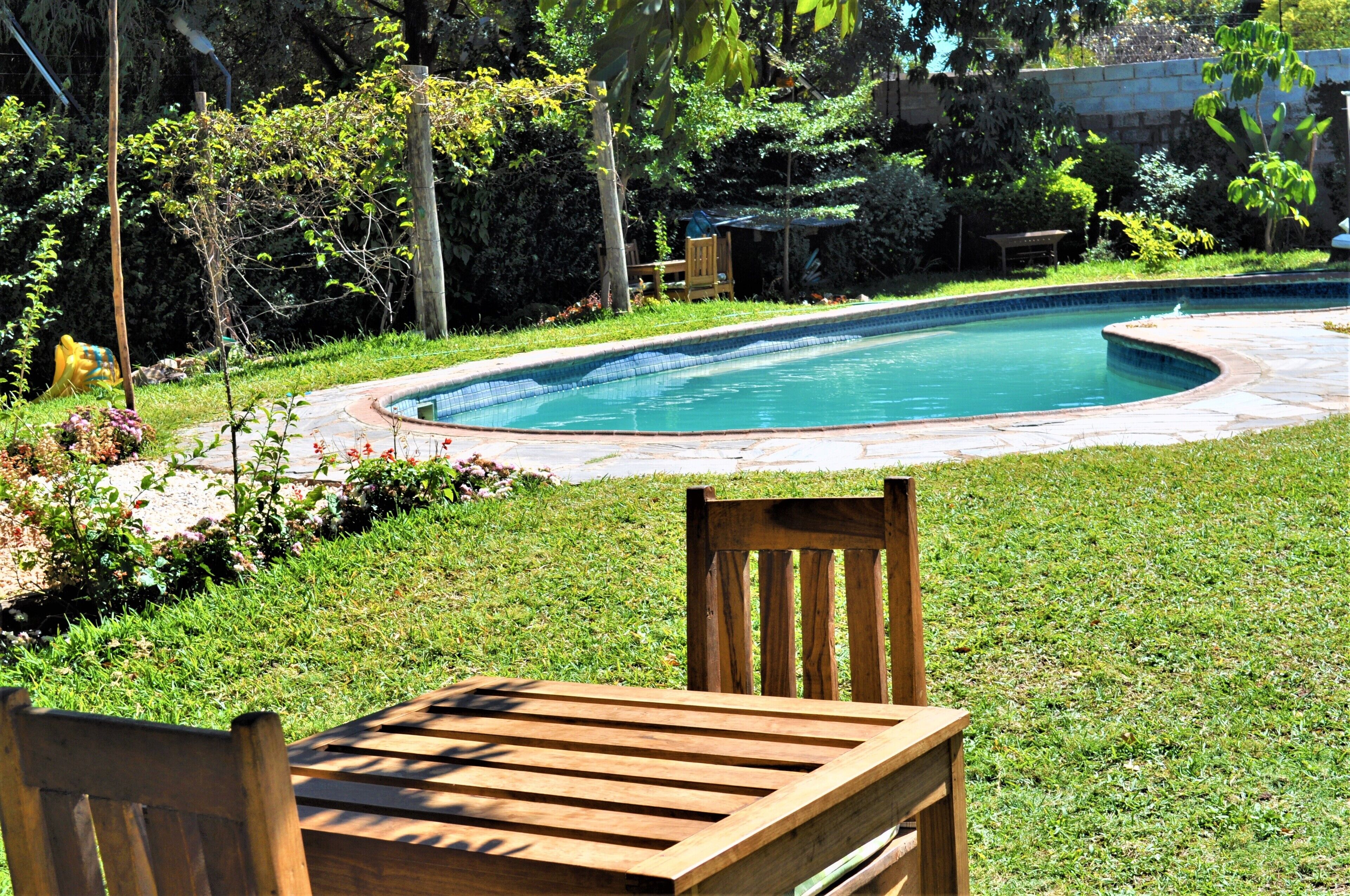A wooden bench and a pool in a backyard with a stone patio and lush greenery.