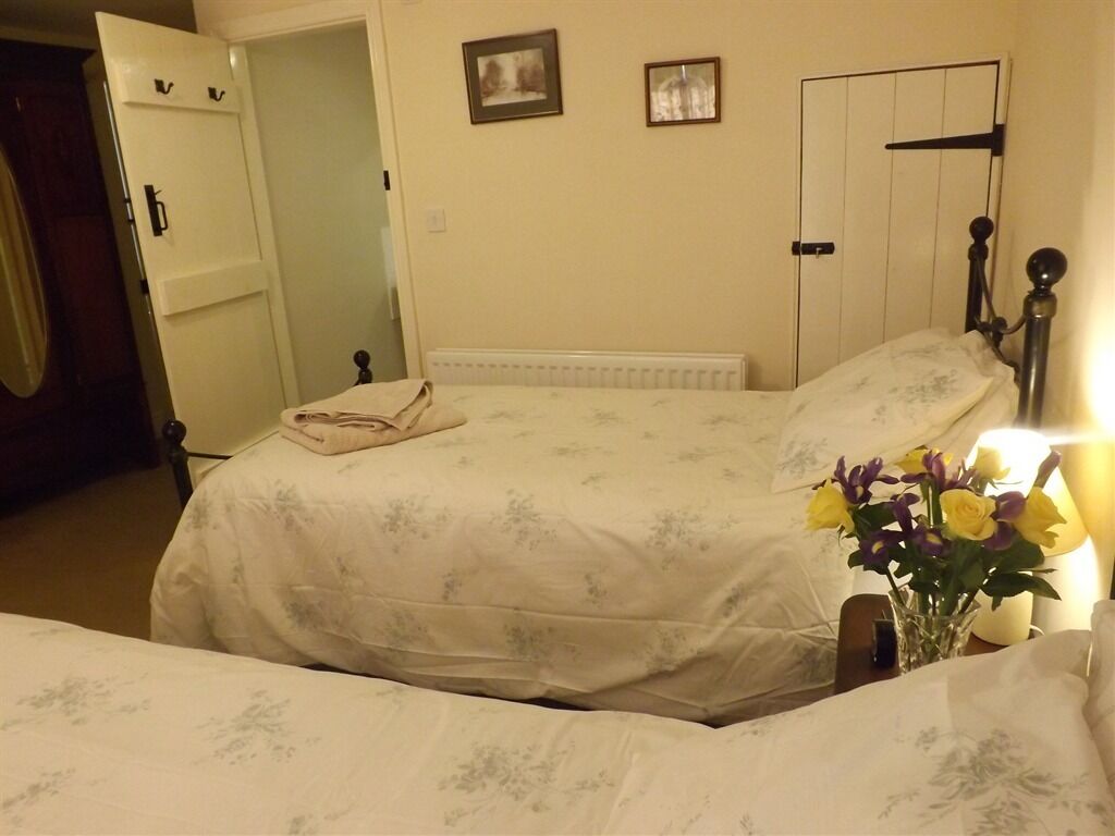 Een hotelkamer met twee bedden, een radiator, een kledingkast en een bloemenvaas.