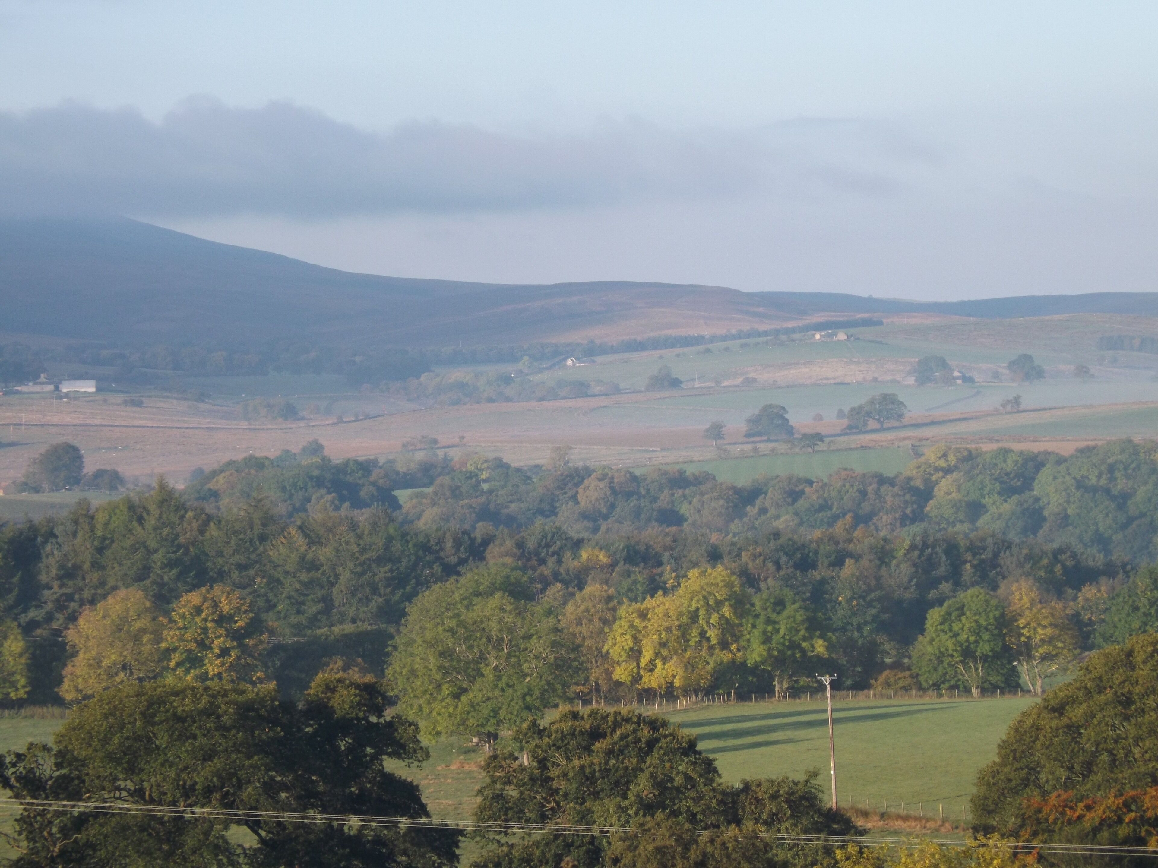 A rural landscape with rolling hills, fields, and scattered trees.