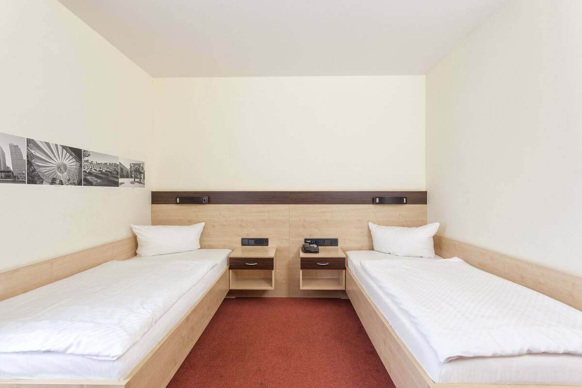 A twin room with two single beds, a wooden headboard, a red carpet, and a wall-mounted artwork.