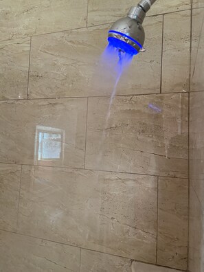 プレミアム スイート キングベッド 1 台 禁煙 | バスルームのシャワー