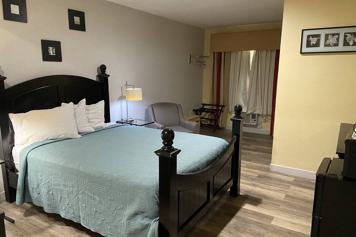 A neatly arranged bedroom with a large bed, a bedside table with a lamp, a chair, and a view of the outdoors through a window.