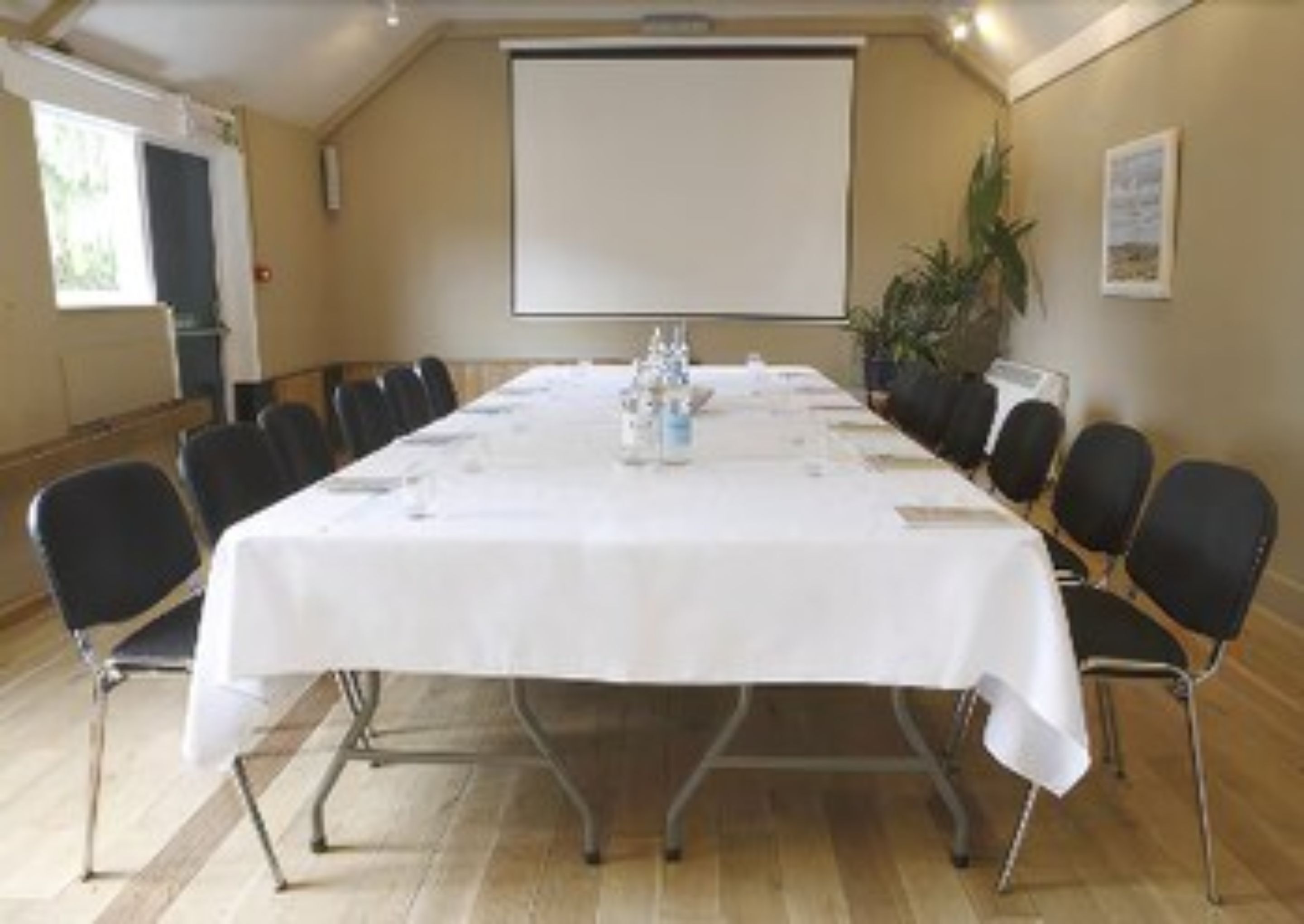 A conference room with a long table, chairs, a projector screen, and a plant.