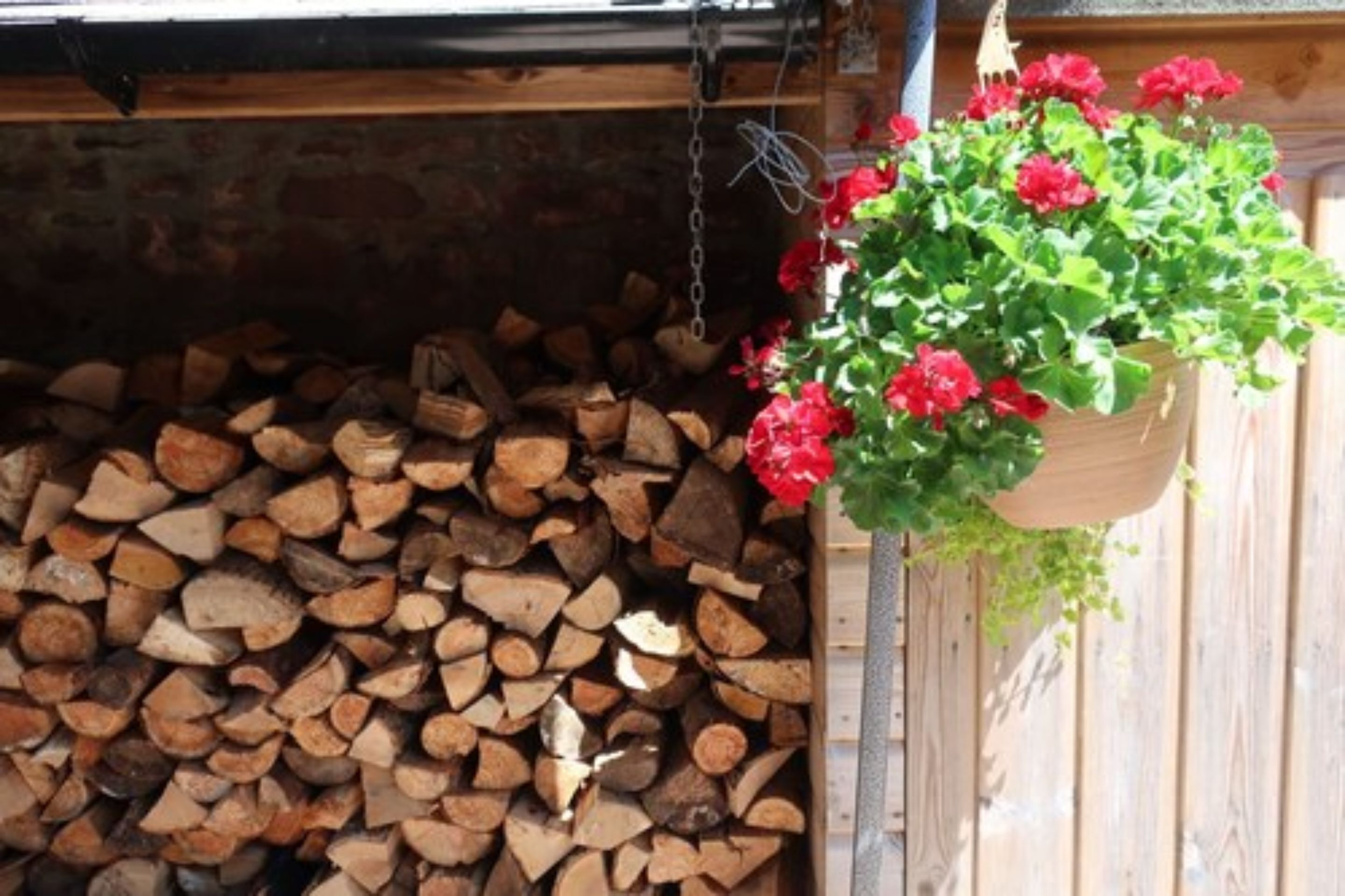 A wooden structure with a stack of firewood and a hanging planter with red flowers.