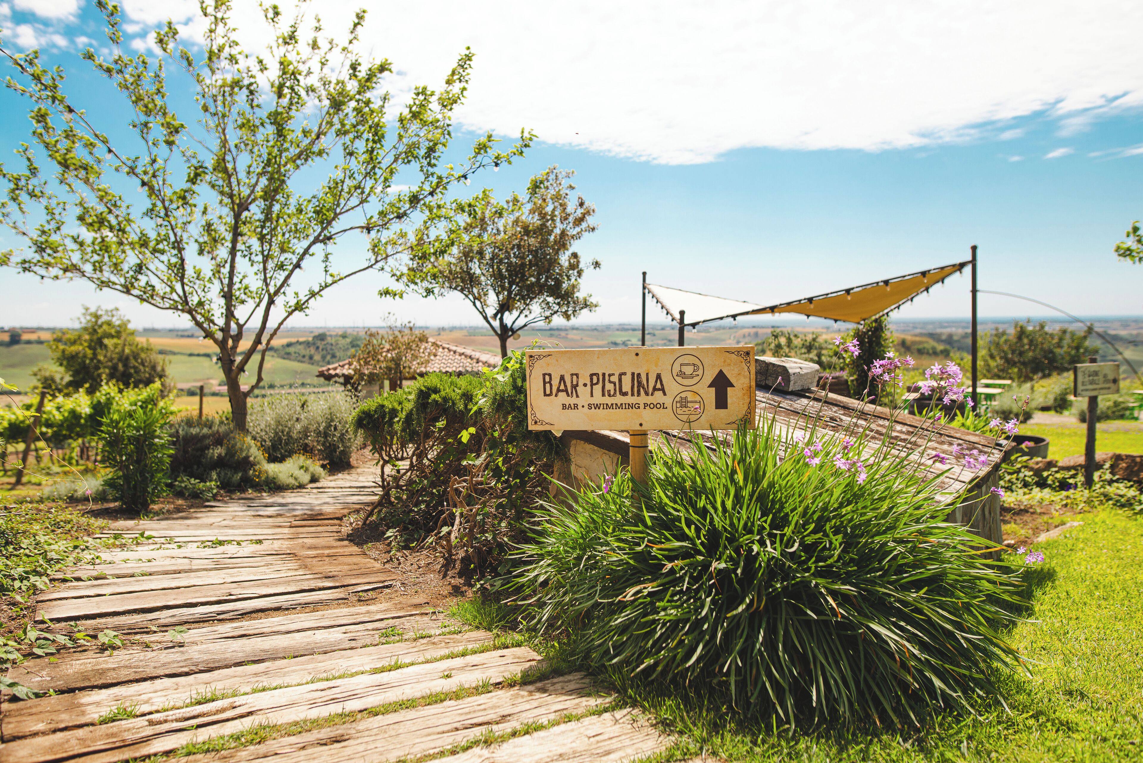Uma passarela de madeira leva a uma placa com a inscrição 'BAR PISCINA' e um símbolo de piscina.