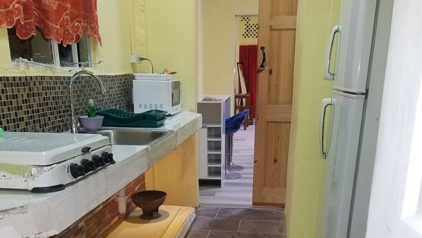 A narrow kitchen with a sink, stove, and refrigerator. A potted plant is on the counter, and a red rug is on the floor. - Port Lodge (Port of Spain)