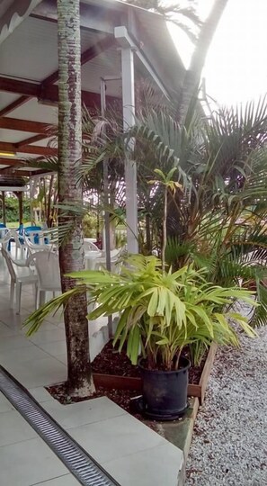 Property grounds - Hôtel des Amandiers (Cayenne)