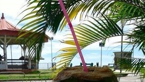 Restaurant - Hôtel des Amandiers (Cayenne)