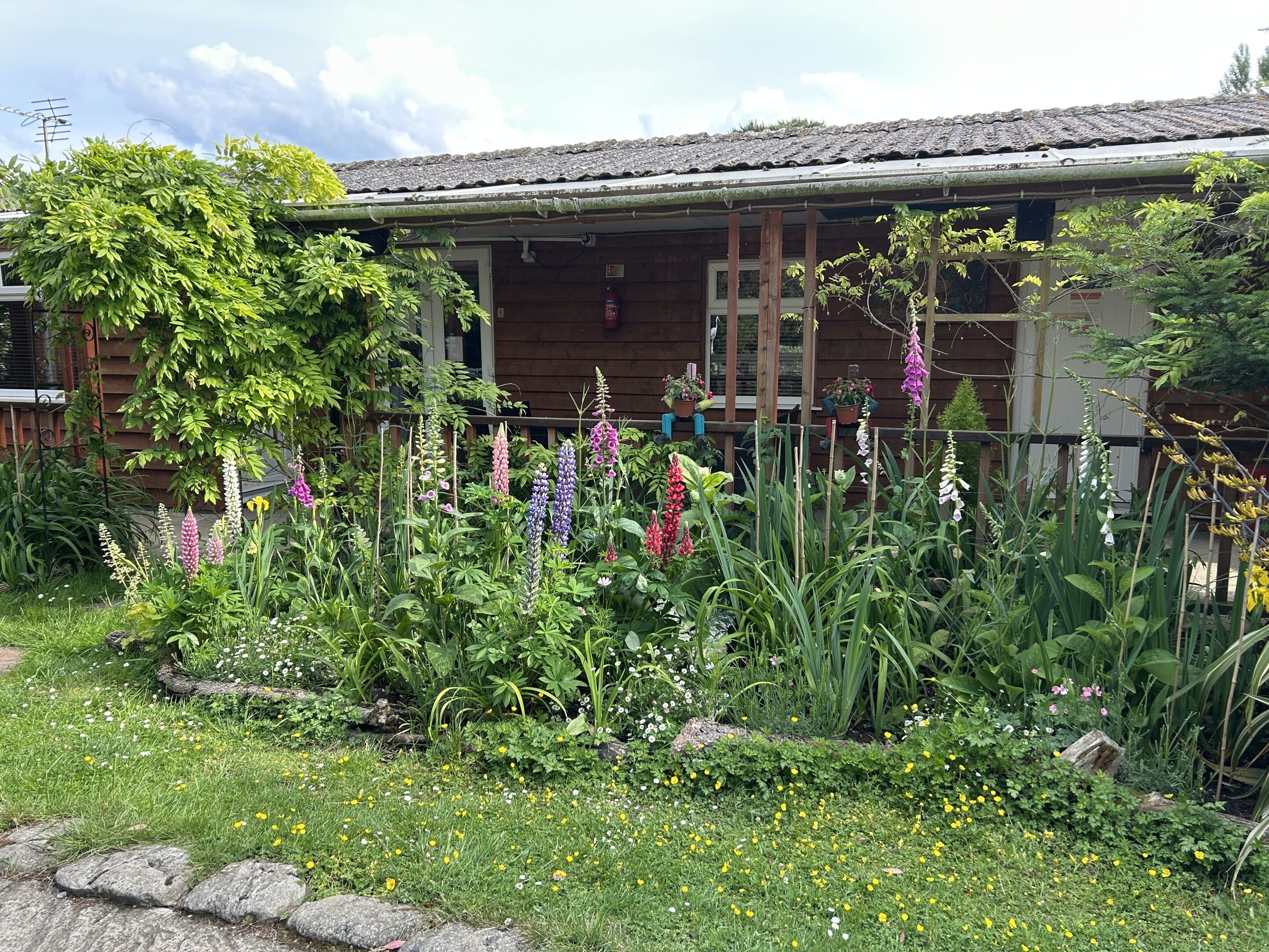 Comfort Twin Room, Ensuite, Garden View (Twin (No 5)) | Garden