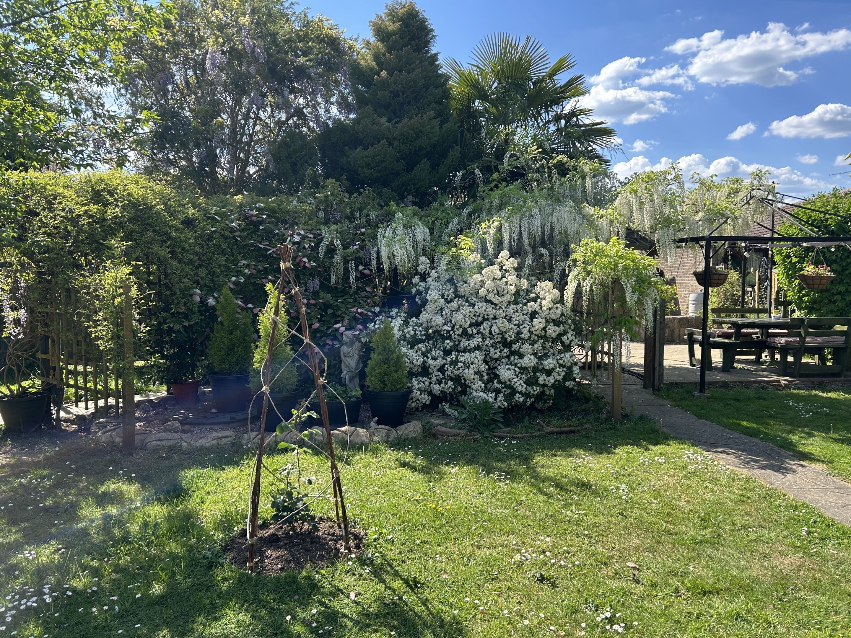 Un jardín con diversas plantas, una pérgola de madera y un banco de piedra.