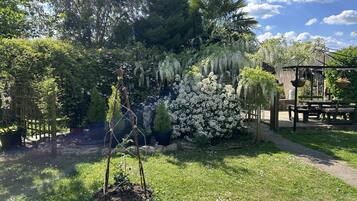 Un jardín con diversas plantas, una pérgola de madera y un banco de piedra.