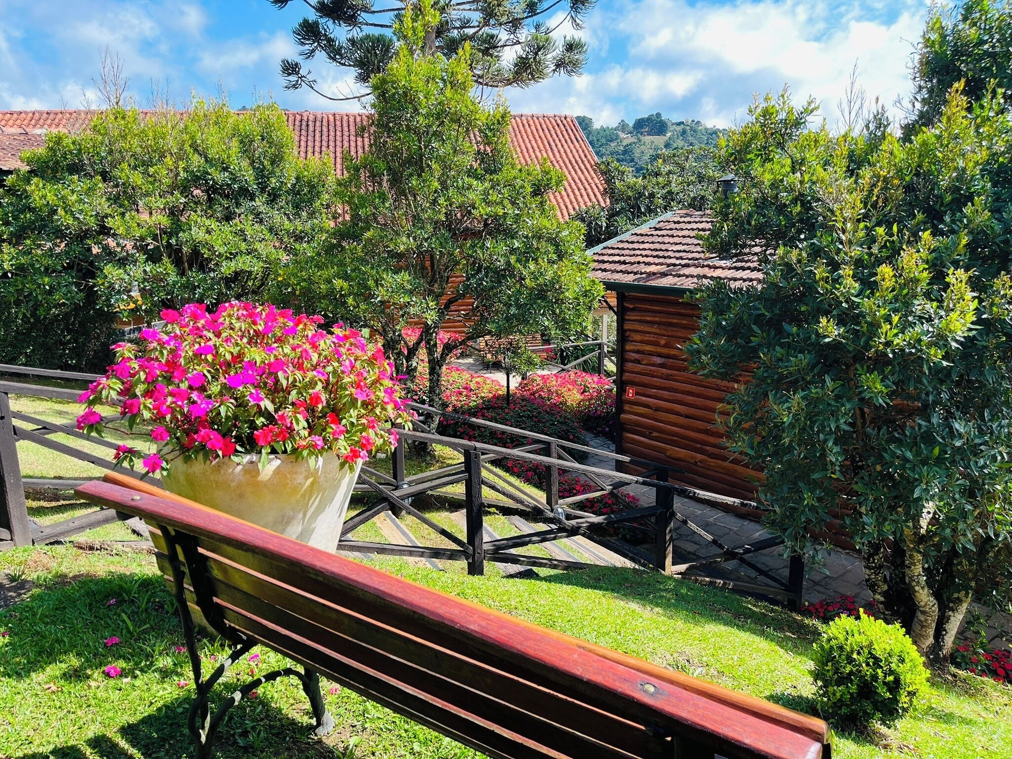 Foto - Hotel Savoy Excellence