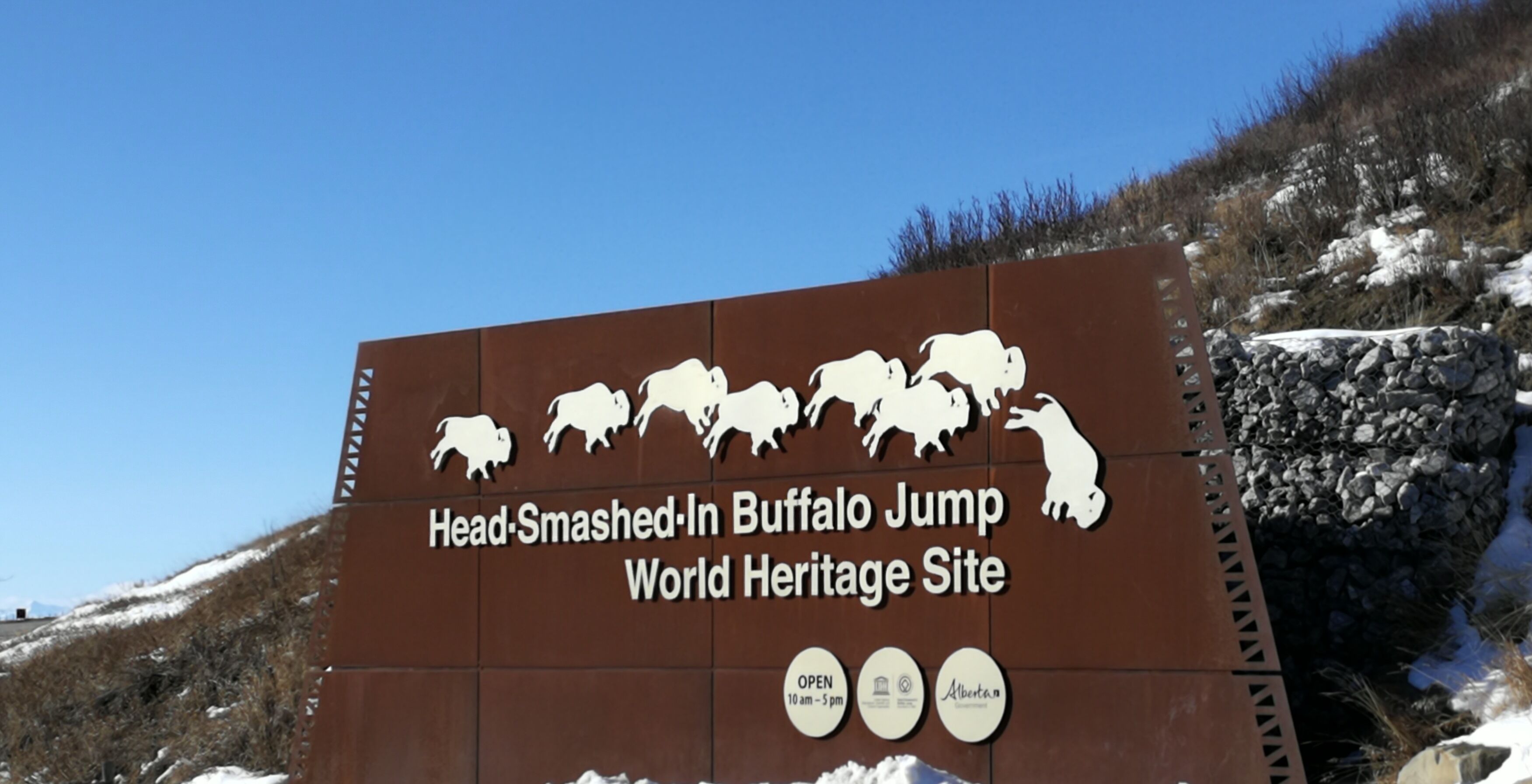 Letrero del Sitio del Patrimonio Mundial Salto de Bisonte Aplastado, con una ilustración de bisontes y horario de atención.