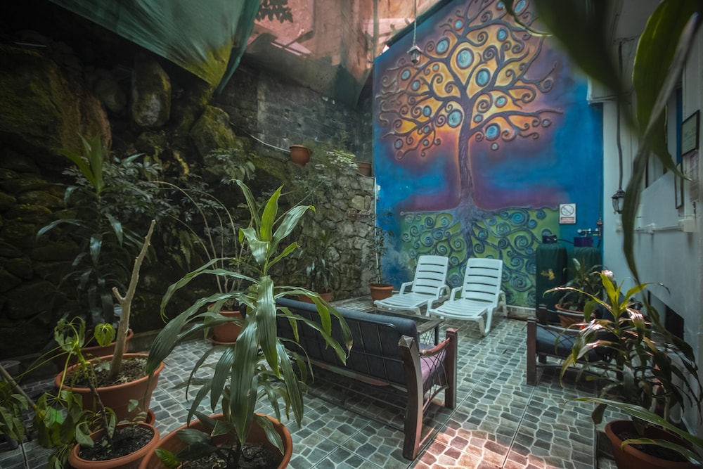 Ecopackers hostel by null