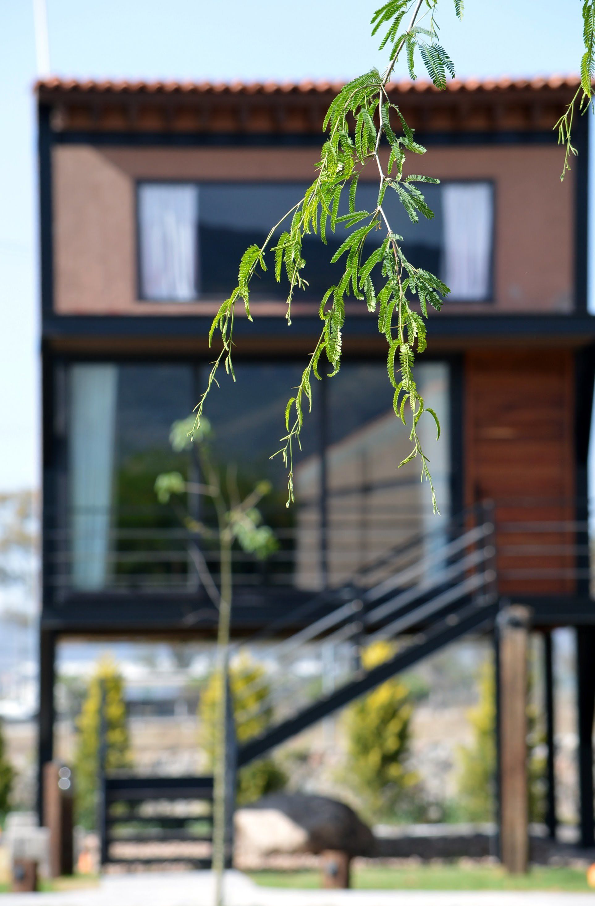 Un edificio moderno con fachada de vidrio y revestimiento de madera.