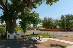 Pet-friendly amenities