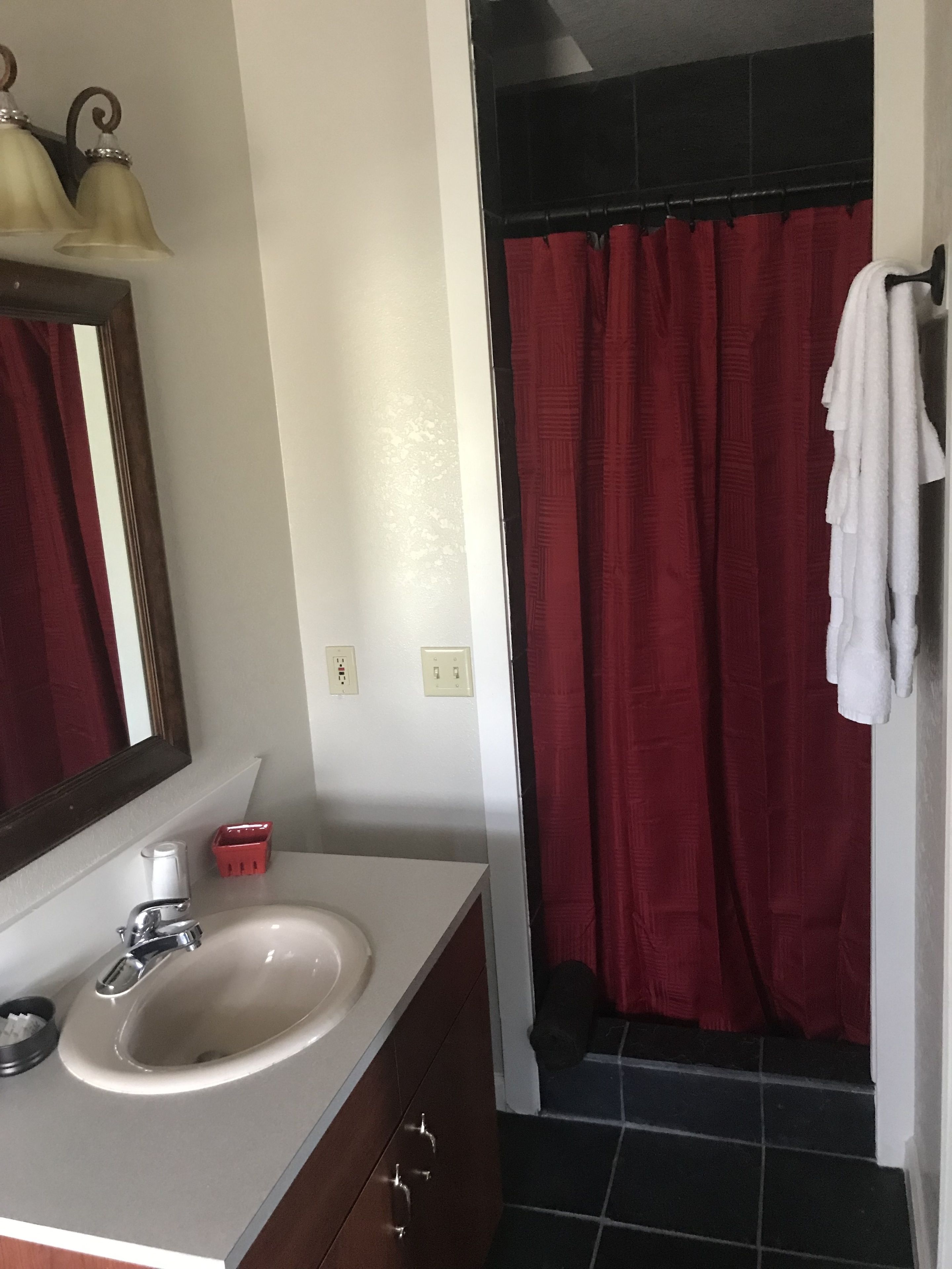 premium studio suite, 1 king bed, refrigerator & microwave | living area | flat-screen tv