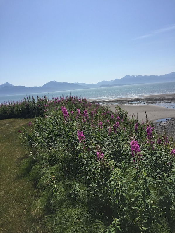 A coastal landscape with a grassy foreground, a beach, and mountains in the distance.