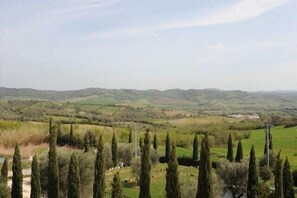 Un panorama s'offrant à nous, avec des collines ondoyantes, des champs ouverts et des arbres dispersés.