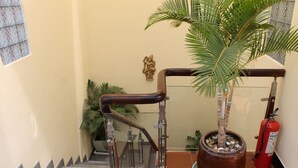 A staircase with glass railings, a potted palm tree, and a fire extinguisher. - Murray Guesthouse (Chau Doc)