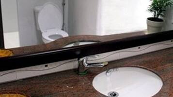 Shower, free toiletries, hair dryer, towels