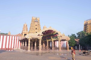 Vista desde la propiedad