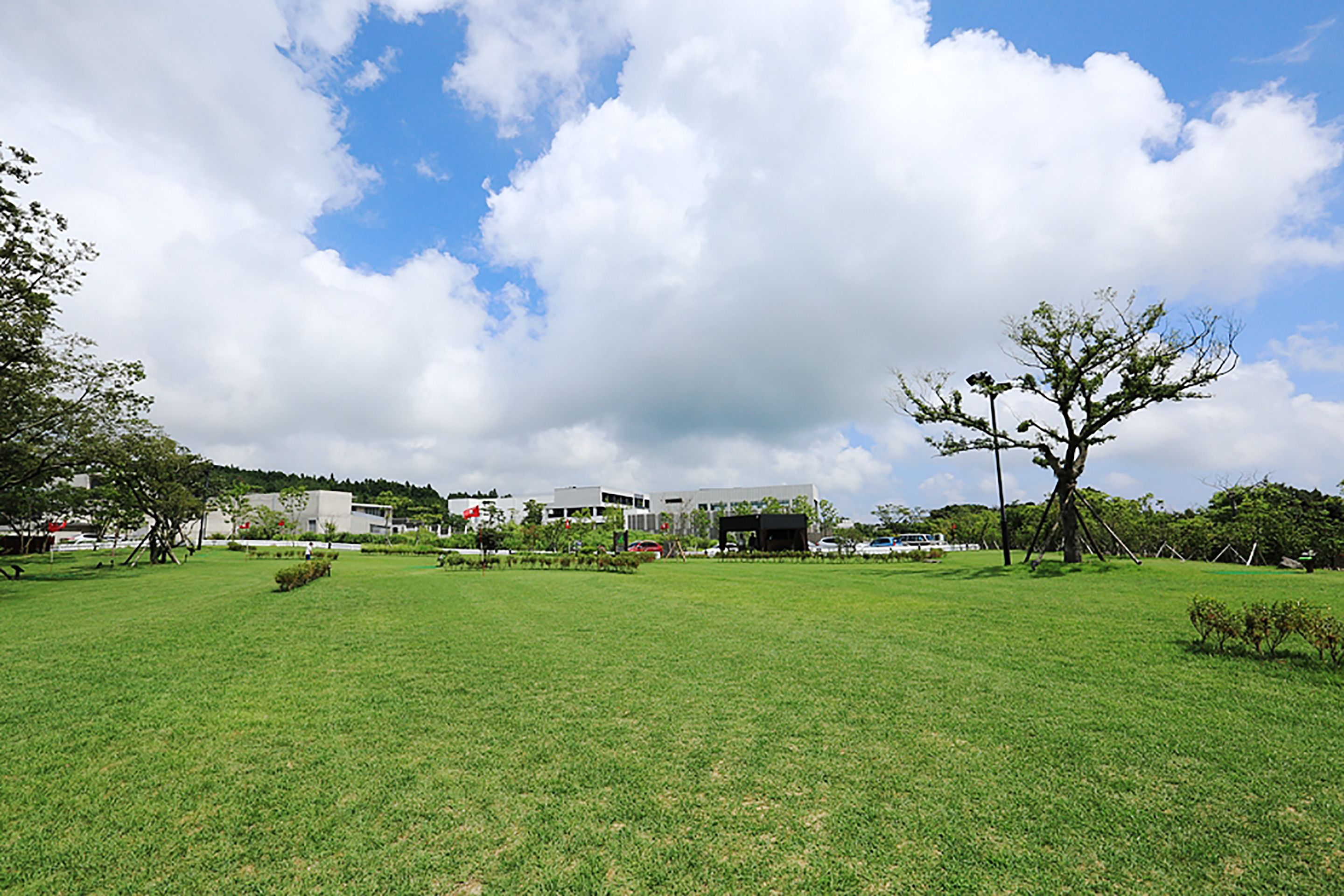 A grassy field with a few trees and a building in the background.