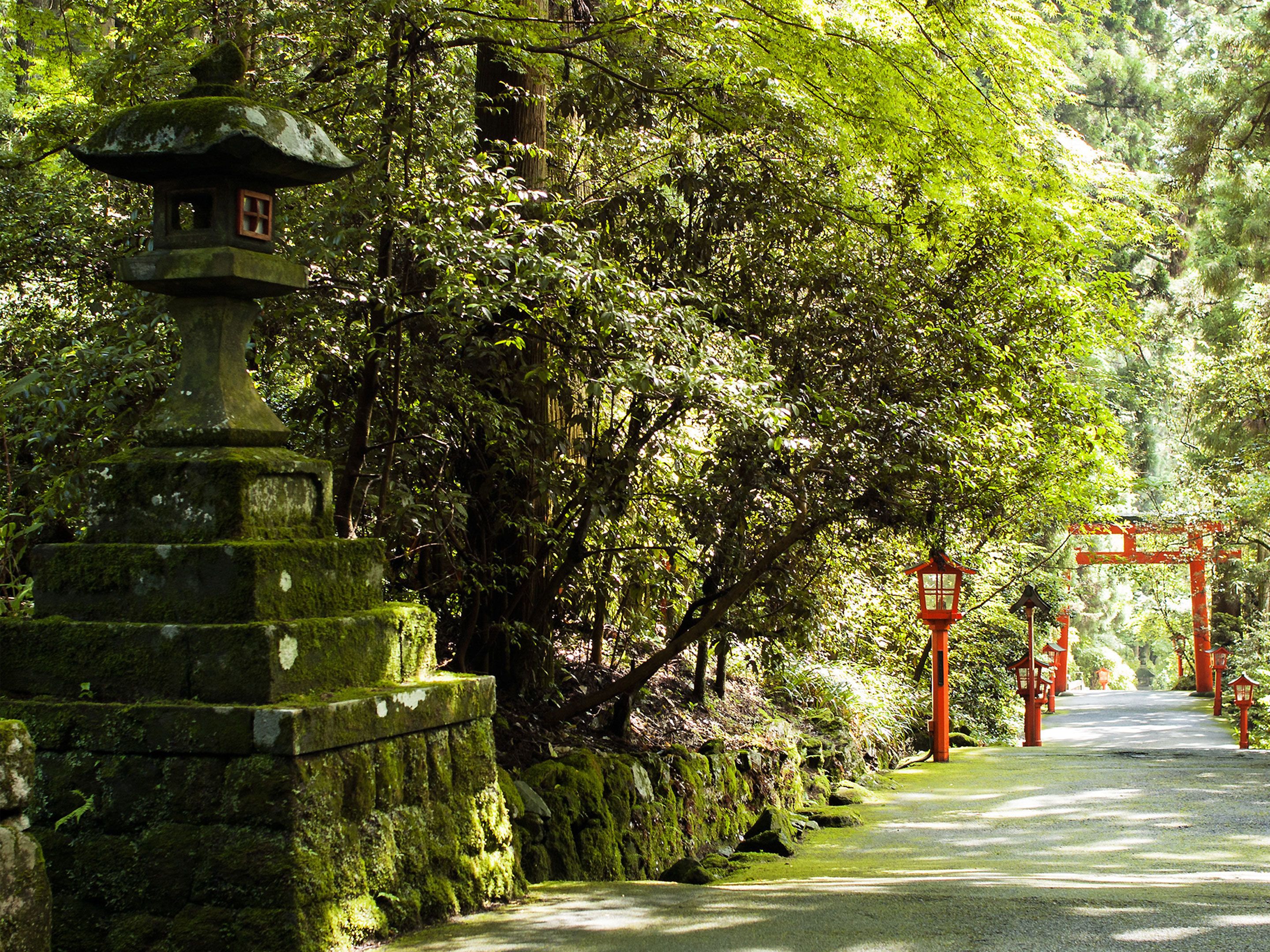 Foto - Hotel Musashiya