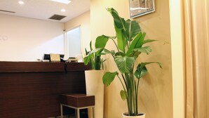 Zona de recepción con un mostrador de madera, un espacio de espera pequeño y una planta grande en maceta.