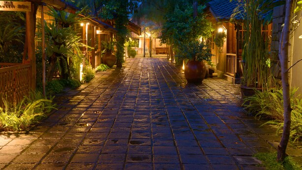 A paved pathway leading to a building with traditional architecture, surrounded by lush greenery and illuminated by warm lighting.
