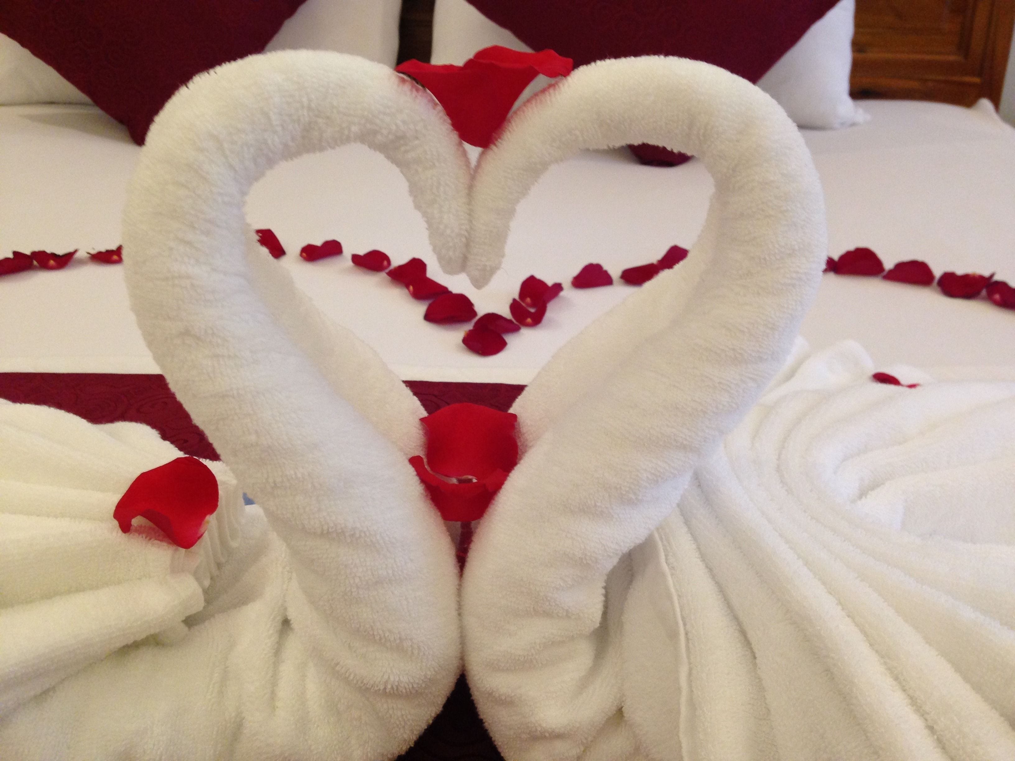 superior bungalow | view from room