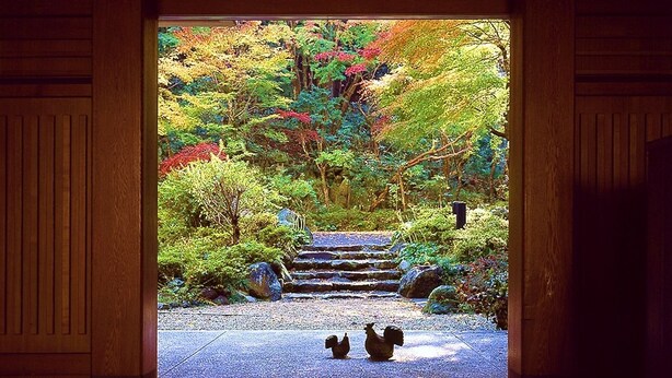 A traditional Japanese garden with a stone pathway leading to a wooden gate.