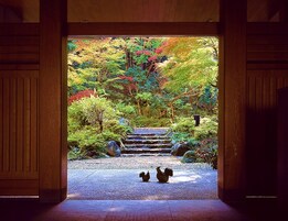Un jardín japonés tradicional con un sendero de piedra que conduce a una puerta de madera.