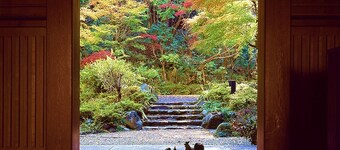 宙 SORA 渡月荘金龍