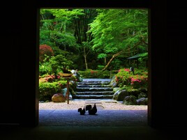 Un jardín japonés tradicional con una escalera de piedra que conduce a una estructura de madera.