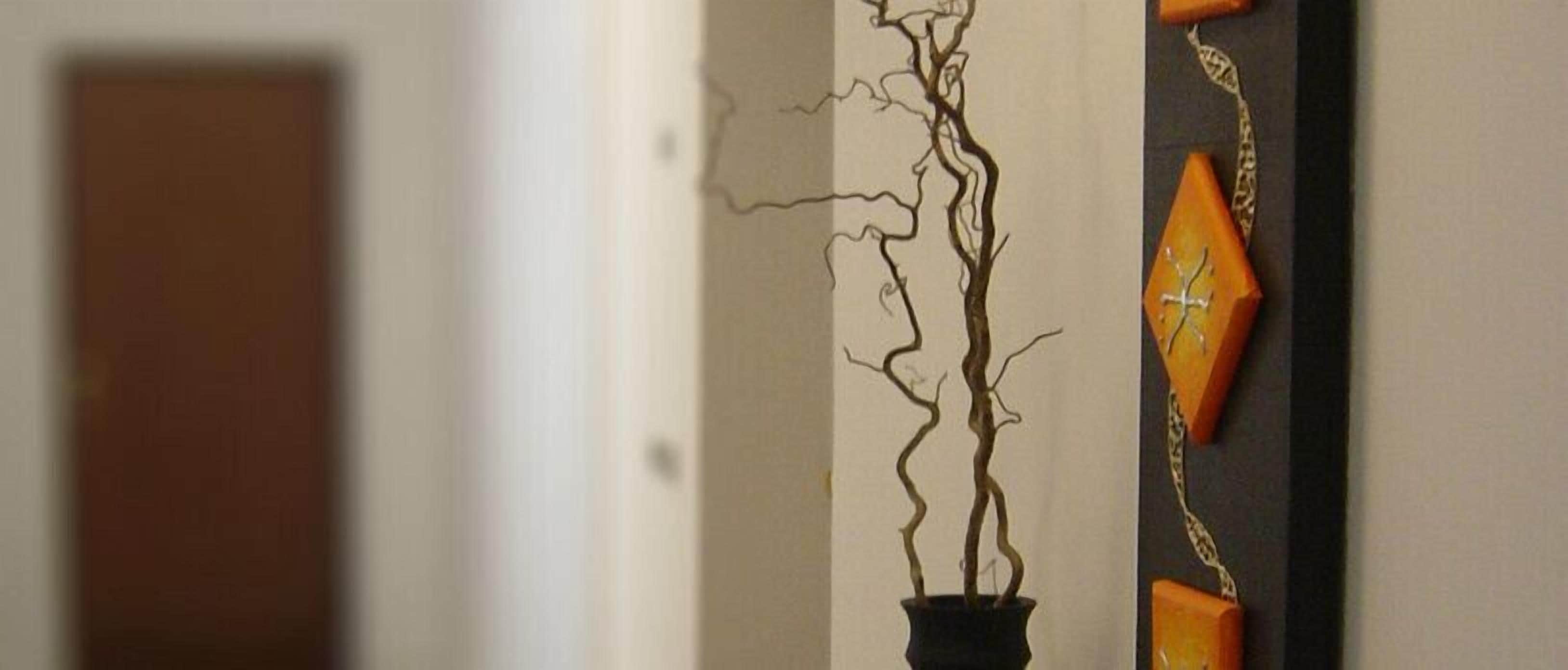 A hallway with a potted plant and decorative wall art.