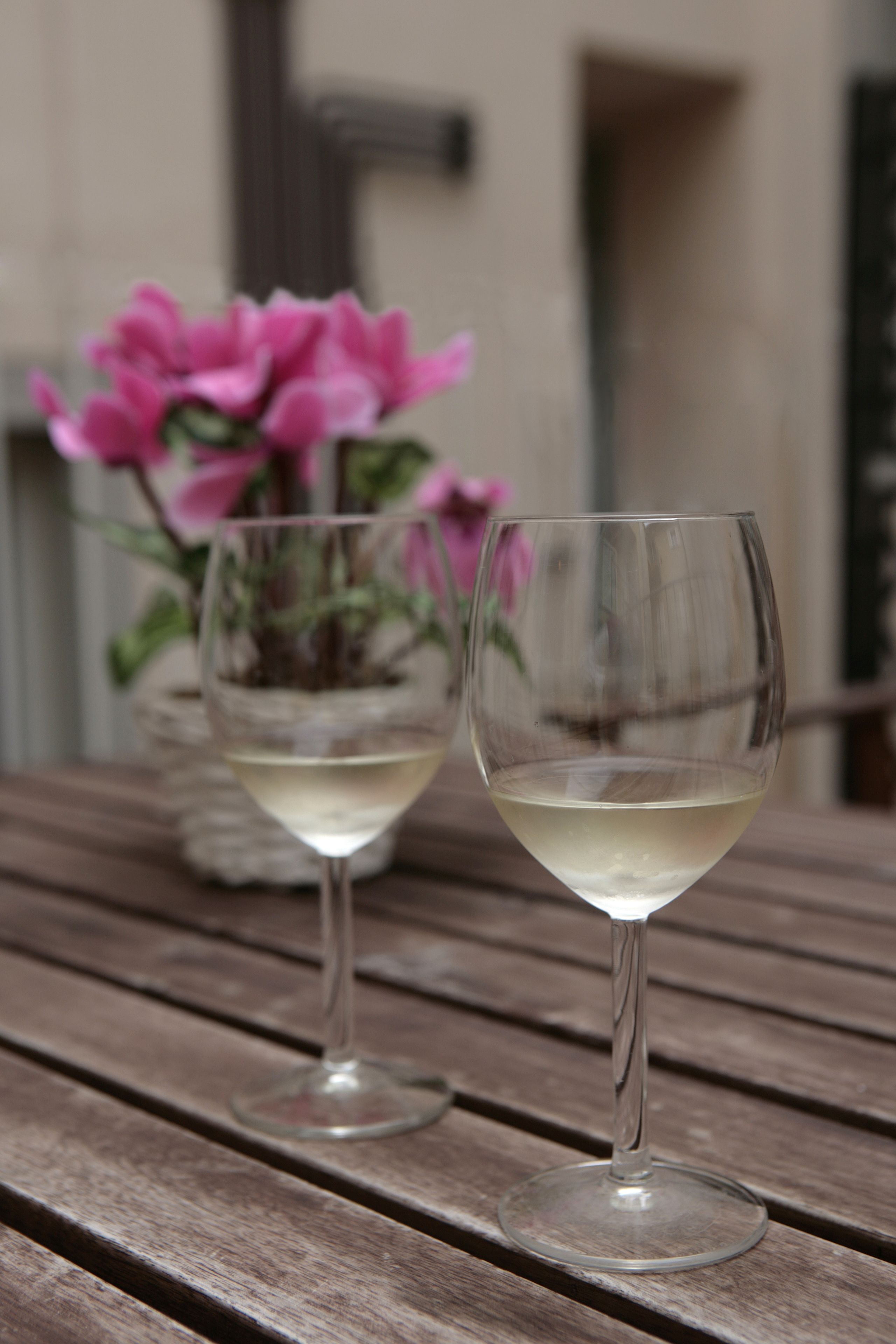 베이직 스튜디오 | 테라스/파티오