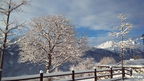 Property grounds - Les Vrais Rayons (Verrayes)