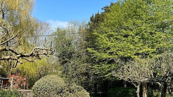 Jardín