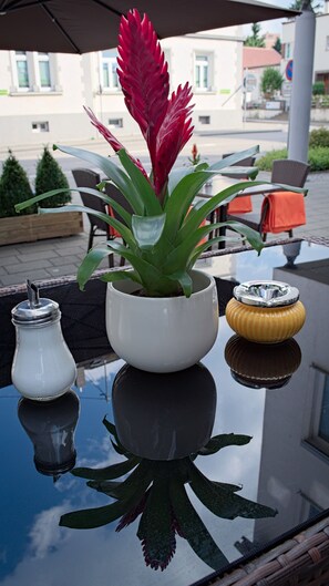 Terrace/patio - Sternplatz Hotel (Ehingen)