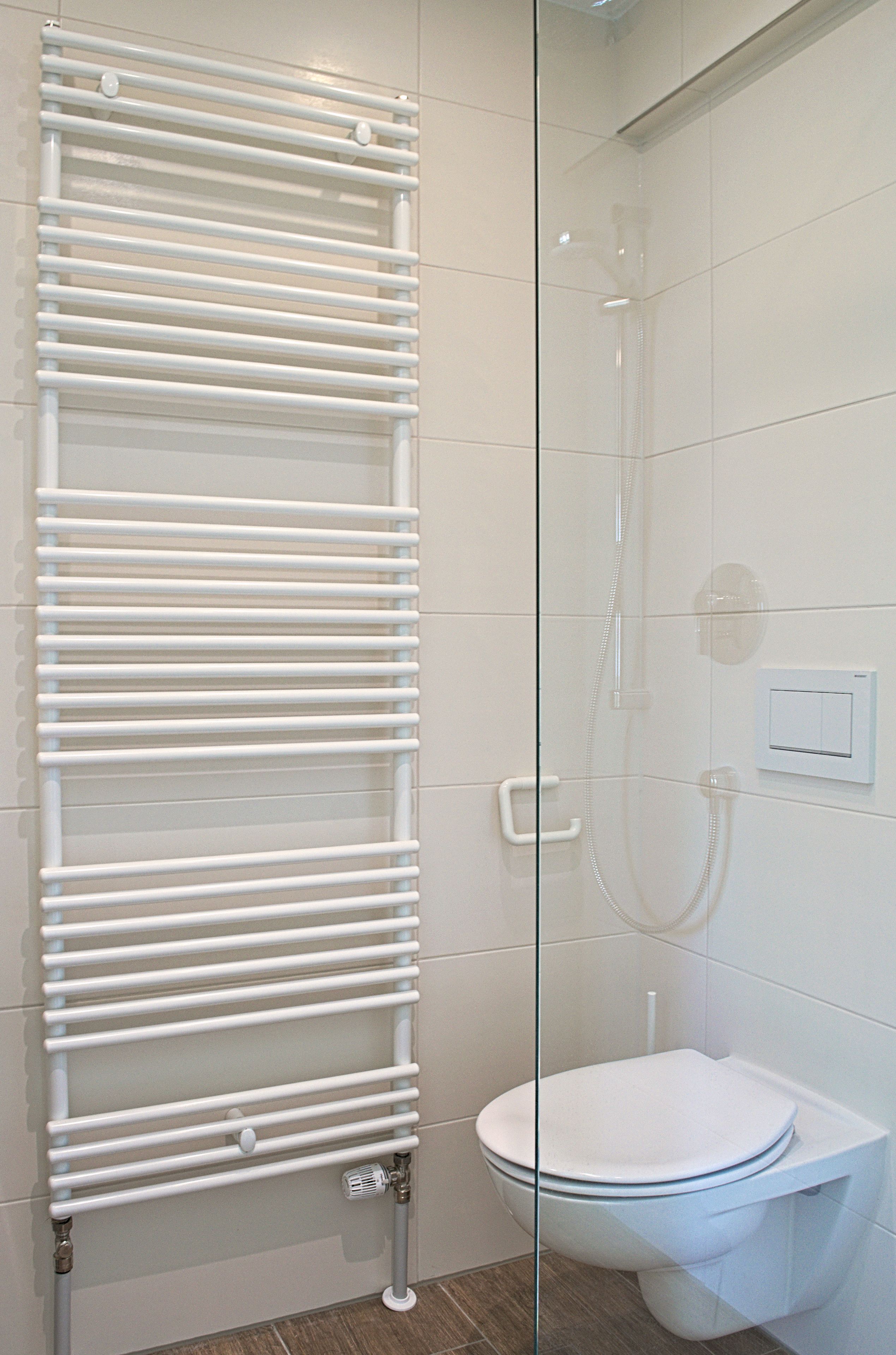 A bathroom with a glass shower enclosure, a white toilet, and a towel rack.