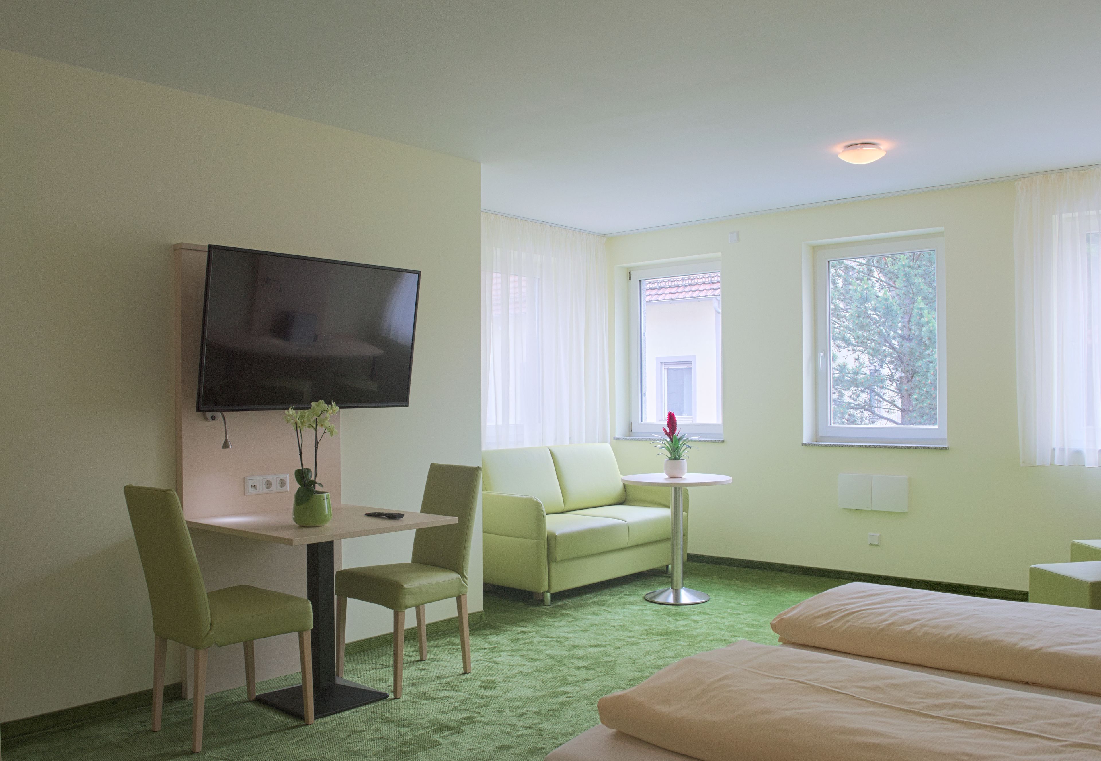 Camera d'albergo con tappeto verde, un letto, un divano, una TV e un piccolo tavolo con una pianta.