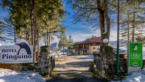 Un sendero cubierto de nieve que conduce a un hotel llamado 'Hotel Pinguino', con una montaña al fondo.
