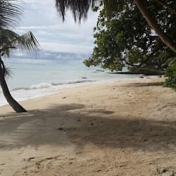 Am Strand