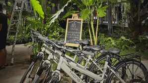 Varias bicicletas estacionadas al aire libre, con una pizarra en el fondo.