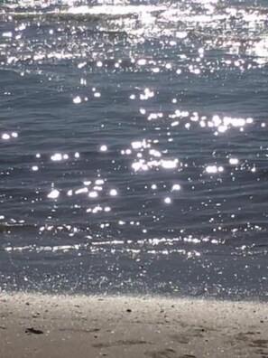 Beach nearby - Hotel Speranza (Jesolo)