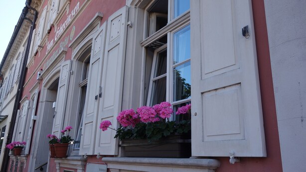 Een gebouw met grote ramen, waarvan sommige voorzien zijn van luiken, en bloembakken met roze bloemen.