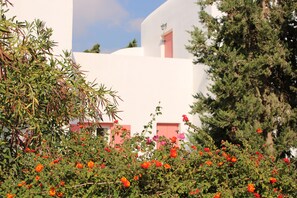 Exterior - Astypalea Villas (Astypalaia)