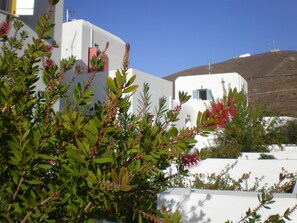 Front of property - Astypalea Villas (Astypalaia)