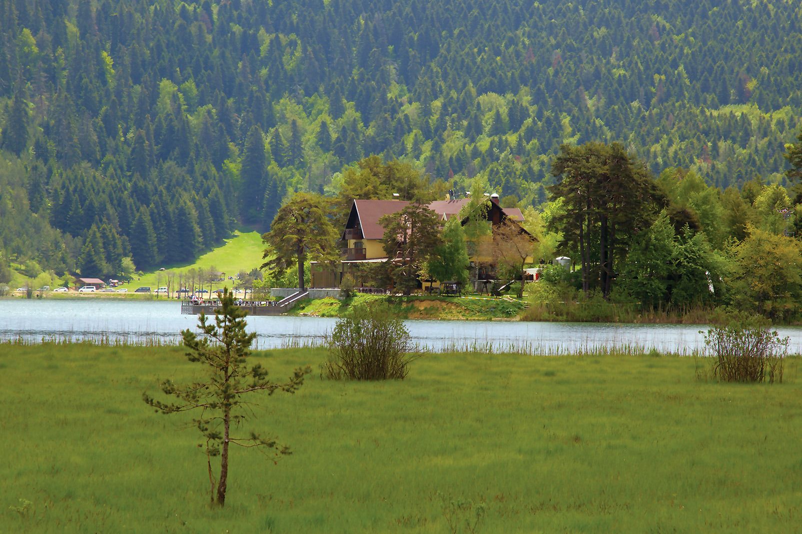 Uma casa à beira do lago com telhado vermelho, rodeada por árvores e um campo gramado.